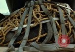 Image of Elephant airlifted Vietnam, 1968, second 43 stock footage video 65675067655