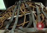 Image of Elephant airlifted Vietnam, 1968, second 44 stock footage video 65675067655