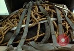 Image of Elephant airlifted Vietnam, 1968, second 45 stock footage video 65675067655