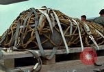 Image of Elephant airlifted Vietnam, 1968, second 53 stock footage video 65675067655