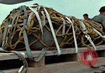 Image of Elephant airlifted Vietnam, 1968, second 54 stock footage video 65675067655