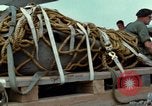 Image of Elephant airlifted Vietnam, 1968, second 55 stock footage video 65675067655