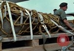 Image of Elephant airlifted Vietnam, 1968, second 56 stock footage video 65675067655