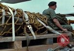 Image of Elephant airlifted Vietnam, 1968, second 57 stock footage video 65675067655