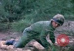 Image bataillons Marine Chu Lai Vietnam, 1965, de la seconde 31 séquences d'archives historiques vidéo 65675067663