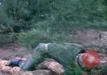 Image bataillons Marine Chu Lai Vietnam, 1965, de la seconde 33 séquences d'archives historiques vidéo 65675067663