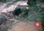 Image bataillons Marine Chu Lai Vietnam, 1965, de la seconde 40 séquences d'archives historiques vidéo 65675067663