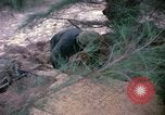 Image bataillons Marine Chu Lai Vietnam, 1965, de la seconde 42 séquences d'archives historiques vidéo 65675067663