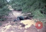 Image bataillons Marine Chu Lai Vietnam, 1965, de la seconde 57 séquences d'archives historiques vidéo 65675067663