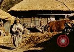 Image civils coréens Corée, 1951, de la seconde 22 séquences d'archives historiques vidéo 65675067667