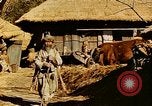 Image civils coréens Corée, 1951, de la seconde 23 séquences d'archives historiques vidéo 65675067667