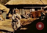 Image civils coréens Corée, 1951, de la seconde 24 séquences d'archives historiques vidéo 65675067667