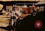 Image civils coréens Corée, 1951, de la seconde 28 séquences d'archives historiques vidéo 65675067667