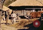 Image civils coréens Corée, 1951, de la seconde 42 séquences d'archives historiques vidéo 65675067667