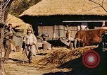 Image civils coréens Corée, 1951, de la seconde 43 séquences d'archives historiques vidéo 65675067667