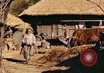 Image civils coréens Corée, 1951, de la seconde 44 séquences d'archives historiques vidéo 65675067667