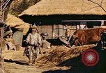 Image civils coréens Corée, 1951, de la seconde 45 séquences d'archives historiques vidéo 65675067667