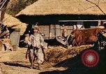 Image civils coréens Corée, 1951, de la seconde 46 séquences d'archives historiques vidéo 65675067667