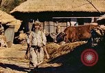 Image civils coréens Corée, 1951, de la seconde 48 séquences d'archives historiques vidéo 65675067667