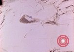 Image of damaged structures Korea, 1951, second 44 stock footage video 65675067672