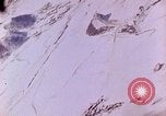 Image of damaged structures Korea, 1951, second 52 stock footage video 65675067672