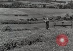 Standbild Bauernhof der Familie Saint Clairsville Ohio USA, 1940, aus Sekunde 3 historischem Filmmaterial Videoclip 65675067688