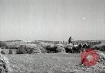 Standbild Bauernhof der Familie Saint Clairsville Ohio USA, 1940, aus Sekunde 15 historischem Filmmaterial Videoclip 65675067688
