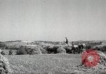 Standbild Bauernhof der Familie Saint Clairsville Ohio USA, 1940, aus Sekunde 20 historischem Filmmaterial Videoclip 65675067688