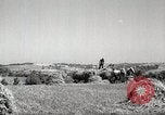 Standbild Bauernhof der Familie Saint Clairsville Ohio USA, 1940, aus Sekunde 24 historischem Filmmaterial Videoclip 65675067688