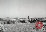 Standbild Bauernhof der Familie Saint Clairsville Ohio USA, 1940, aus Sekunde 25 historischem Filmmaterial Videoclip 65675067688