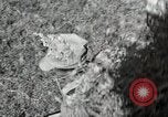 Standbild Bauernhof der Familie Saint Clairsville Ohio USA, 1940, aus Sekunde 30 historischem Filmmaterial Videoclip 65675067688