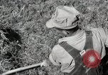 Standbild Bauernhof der Familie Saint Clairsville Ohio USA, 1940, aus Sekunde 31 historischem Filmmaterial Videoclip 65675067688
