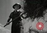 Standbild Bauernhof der Familie Saint Clairsville Ohio USA, 1940, aus Sekunde 38 historischem Filmmaterial Videoclip 65675067688