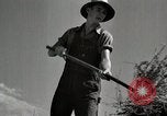 Standbild Bauernhof der Familie Saint Clairsville Ohio USA, 1940, aus Sekunde 39 historischem Filmmaterial Videoclip 65675067688
