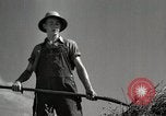 Standbild Bauernhof der Familie Saint Clairsville Ohio USA, 1940, aus Sekunde 48 historischem Filmmaterial Videoclip 65675067688