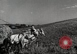 Standbild Bauernhof der Familie Saint Clairsville Ohio USA, 1940, aus Sekunde 3 historischem Filmmaterial Videoclip 65675067689
