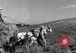 Standbild Bauernhof der Familie Saint Clairsville Ohio USA, 1940, aus Sekunde 4 historischem Filmmaterial Videoclip 65675067689