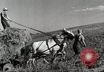Standbild Bauernhof der Familie Saint Clairsville Ohio USA, 1940, aus Sekunde 5 historischem Filmmaterial Videoclip 65675067689