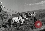 Standbild Bauernhof der Familie Saint Clairsville Ohio USA, 1940, aus Sekunde 6 historischem Filmmaterial Videoclip 65675067689