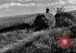 Standbild Bauernhof der Familie Saint Clairsville Ohio USA, 1940, aus Sekunde 23 historischem Filmmaterial Videoclip 65675067689