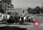 Standbild Bauernhof der Familie Saint Clairsville Ohio USA, 1940, aus Sekunde 39 historischem Filmmaterial Videoclip 65675067689