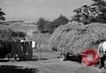Standbild Bauernhof der Familie Saint Clairsville Ohio USA, 1940, aus Sekunde 47 historischem Filmmaterial Videoclip 65675067689