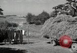 Standbild Bauernhof der Familie Saint Clairsville Ohio USA, 1940, aus Sekunde 48 historischem Filmmaterial Videoclip 65675067689