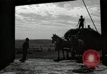 Standbild Bauernhof der Familie Saint Clairsville Ohio USA, 1940, aus Sekunde 57 historischem Filmmaterial Videoclip 65675067689