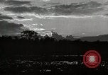 Standbild Bauernhof der Familie Saint Clairsville Ohio USA, 1940, aus Sekunde 19 historischem Filmmaterial Videoclip 65675067690