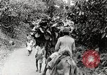 Standbild Local Menschen Trinidad, 1936, aus Sekunde 21 historischem Filmmaterial Videoclip 65675067692