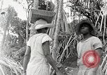 Standbild Local Menschen Trinidad, 1936, aus Sekunde 41 historischem Filmmaterial Videoclip 65675067692