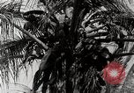 Standbild Local Menschen Trinidad, 1936, aus Sekunde 54 historischem Filmmaterial Videoclip 65675067692
