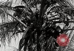 Standbild Local Menschen Trinidad, 1936, aus Sekunde 55 historischem Filmmaterial Videoclip 65675067692