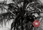 Standbild Local Menschen Trinidad, 1936, aus Sekunde 56 historischem Filmmaterial Videoclip 65675067692